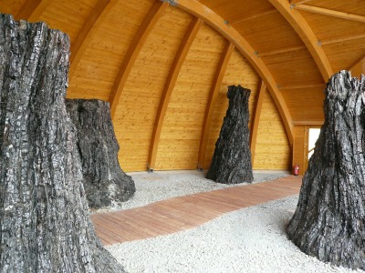 Bükkábrányi ősfák a kiállítóteremben